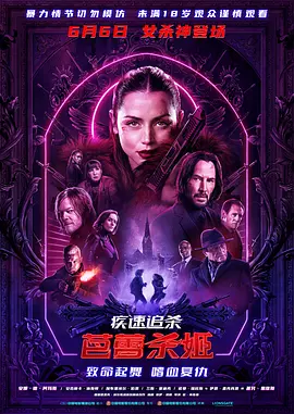 2025 疾速追杀：芭蕾杀姬