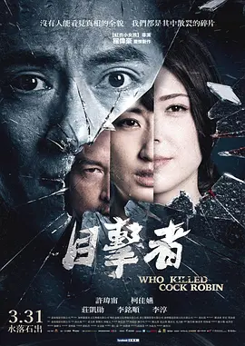 2017 目击者之追凶