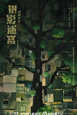 2025 树影迷宫
