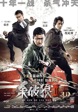 2015 杀破狼2